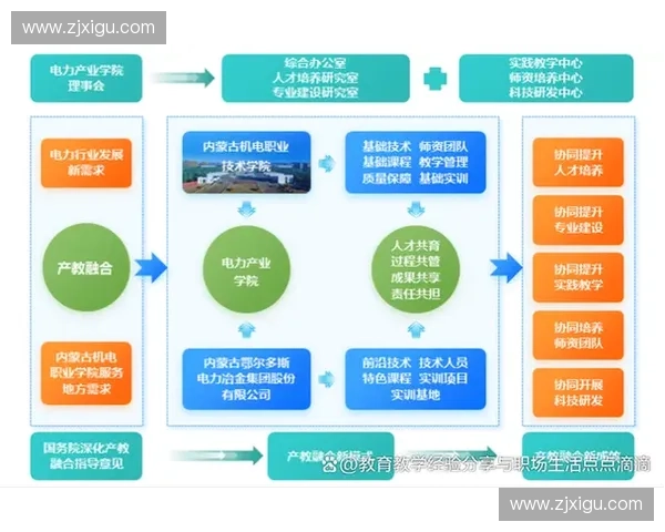 体育等级认证体系构建与实施路径研究及其对行业发展的影响分析